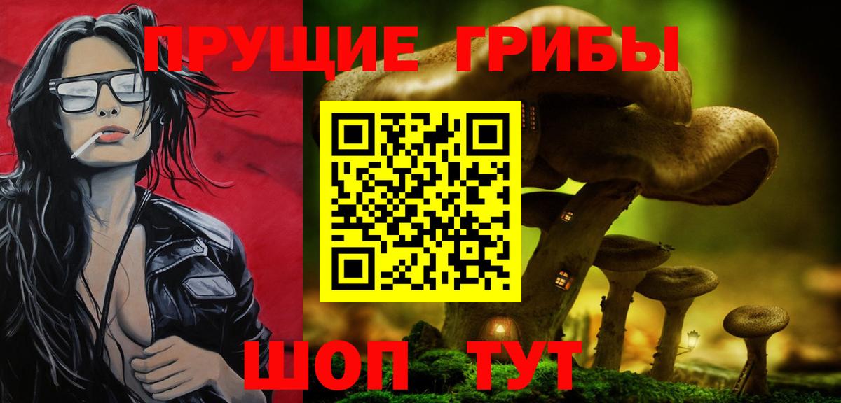 Рассказово  Псилоцибиновые грибы MAGIC MUSHROOMS  Вход с VPN  Псилоцибиновые грибы Psilocybe 