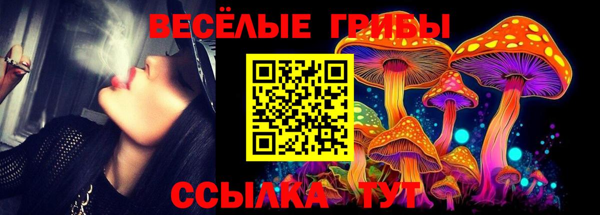 Галлюциногенные грибы мухоморы Рассказово